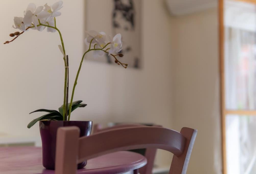 Apartment San Domenico 3 - Al Mare